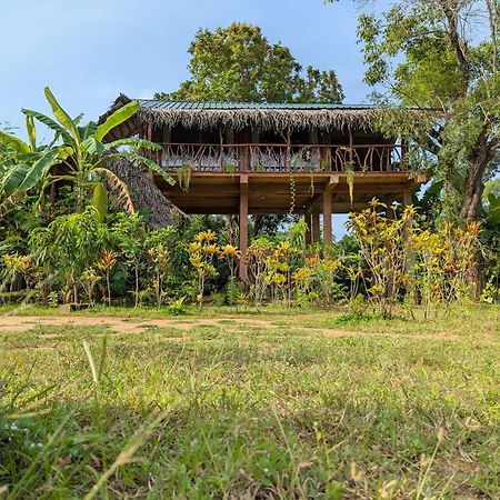 Vila Sigiriya Rock View Tree House Exteriér fotografie
