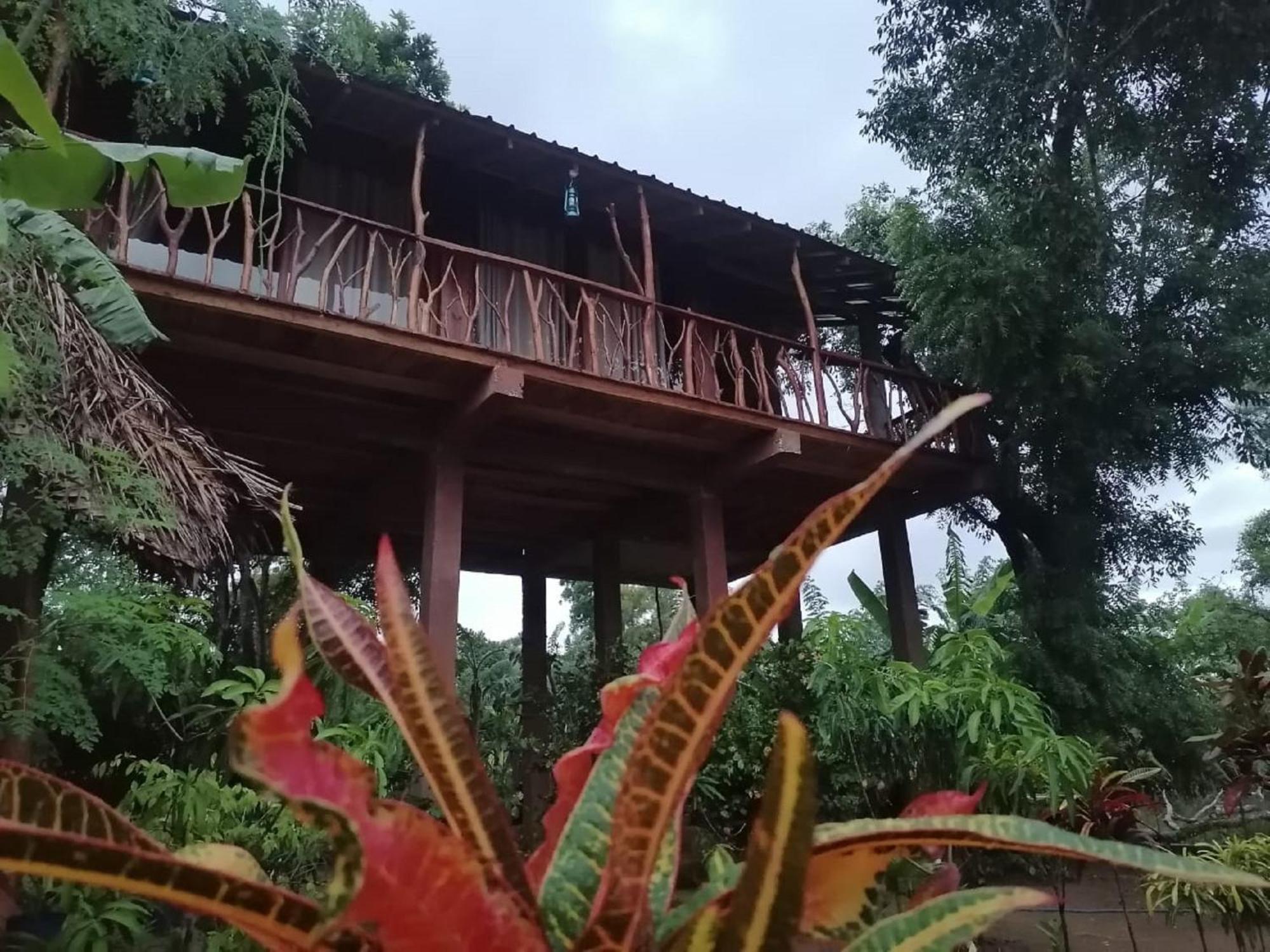 Vila Sigiriya Rock View Tree House Exteriér fotografie