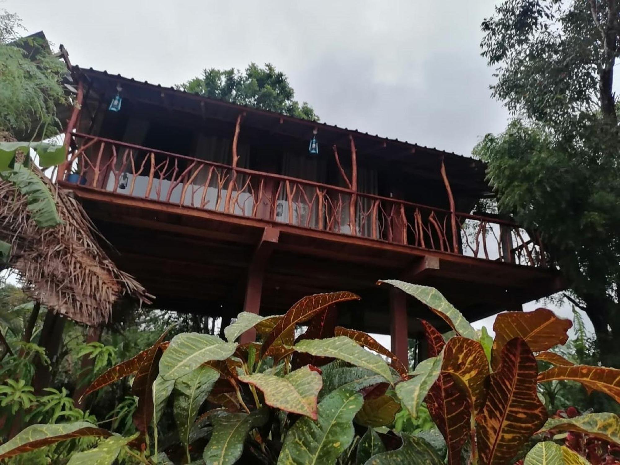 Vila Sigiriya Rock View Tree House Exteriér fotografie
