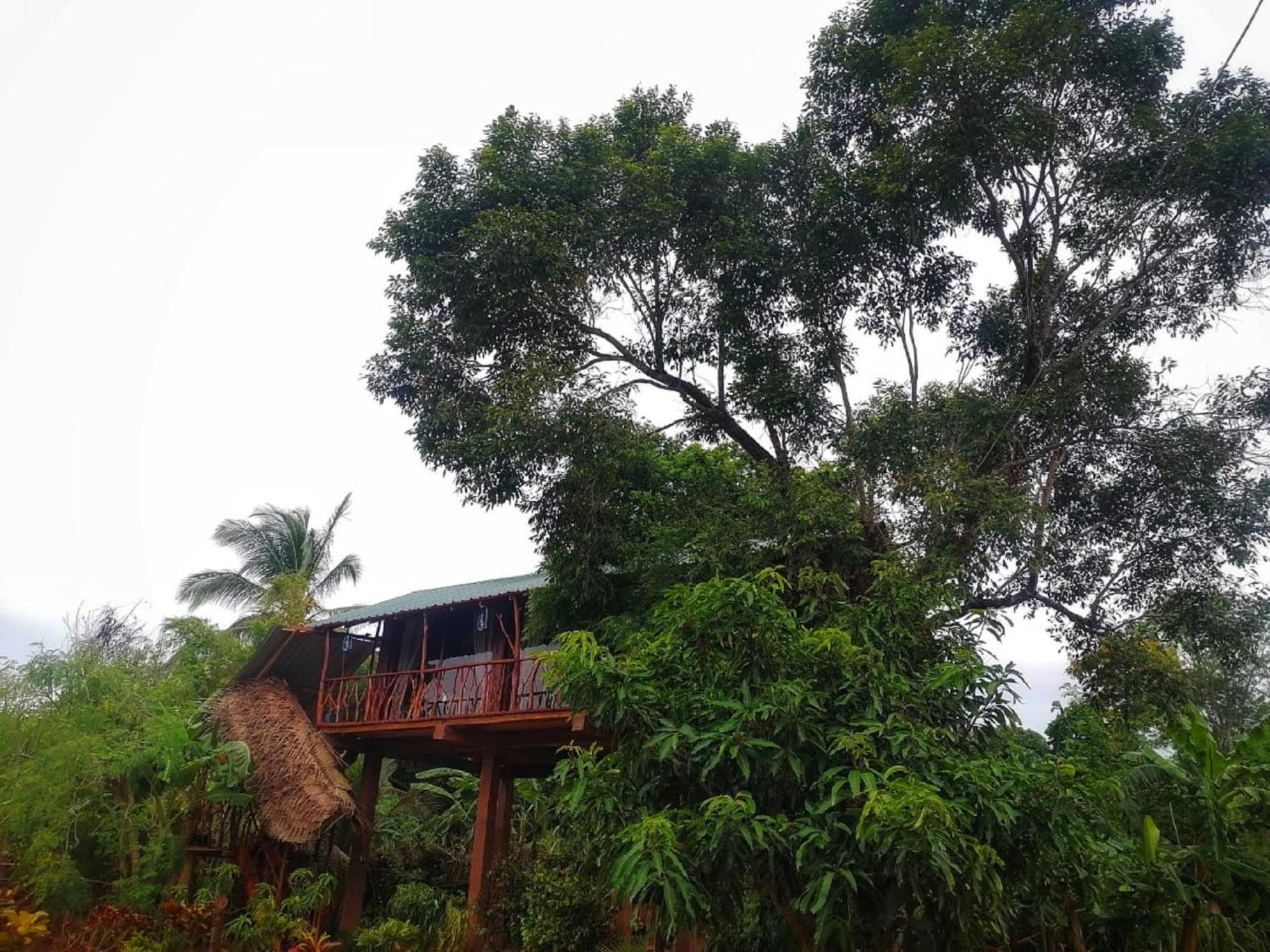 Vila Sigiriya Rock View Tree House Exteriér fotografie