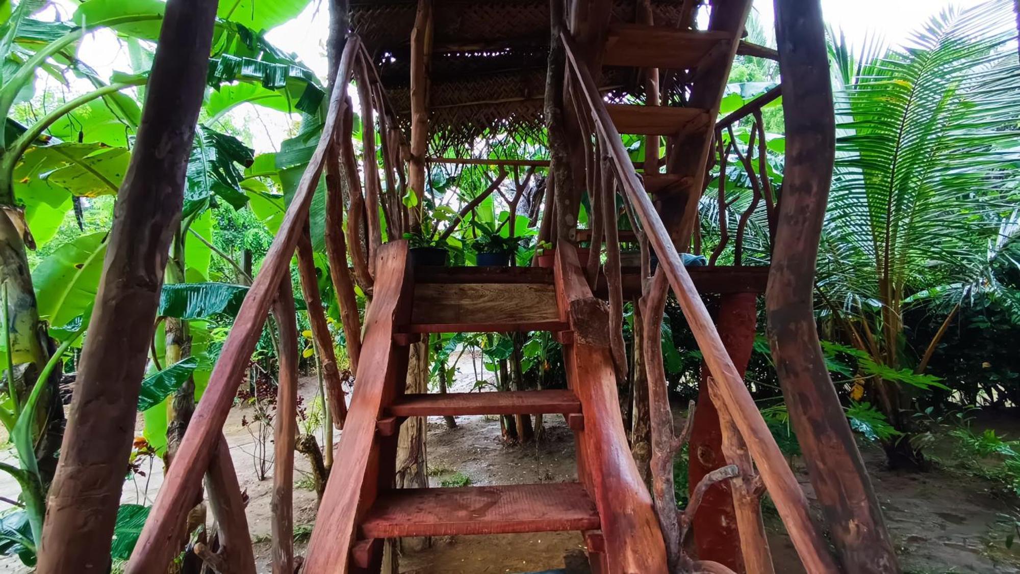 Vila Sigiriya Rock View Tree House Exteriér fotografie