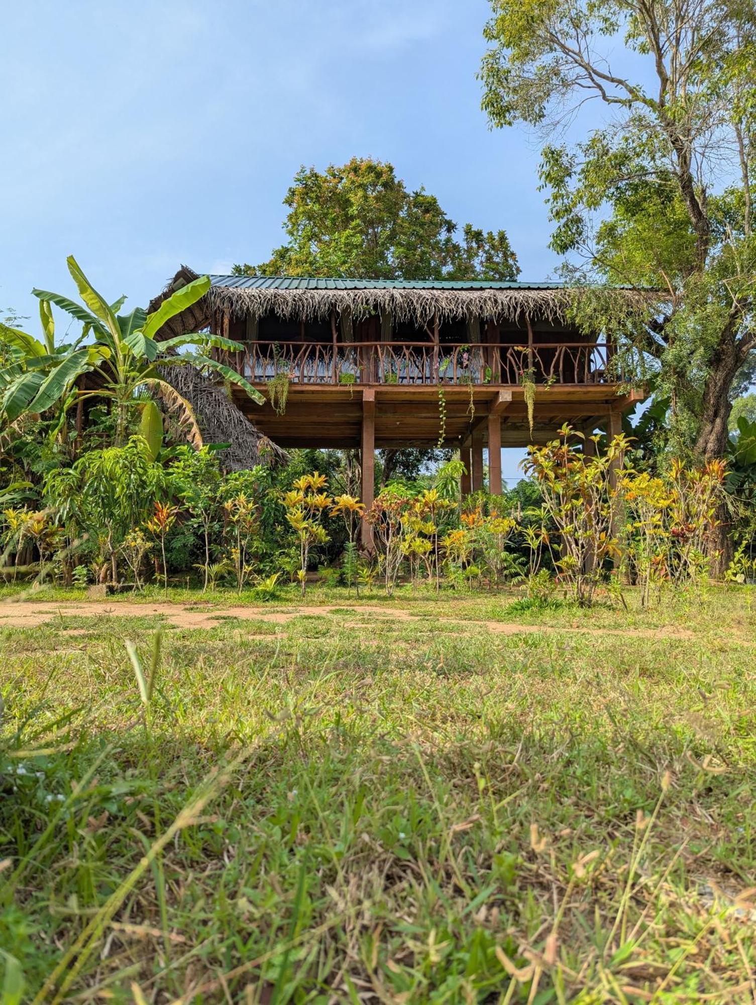 Vila Sigiriya Rock View Tree House Exteriér fotografie
